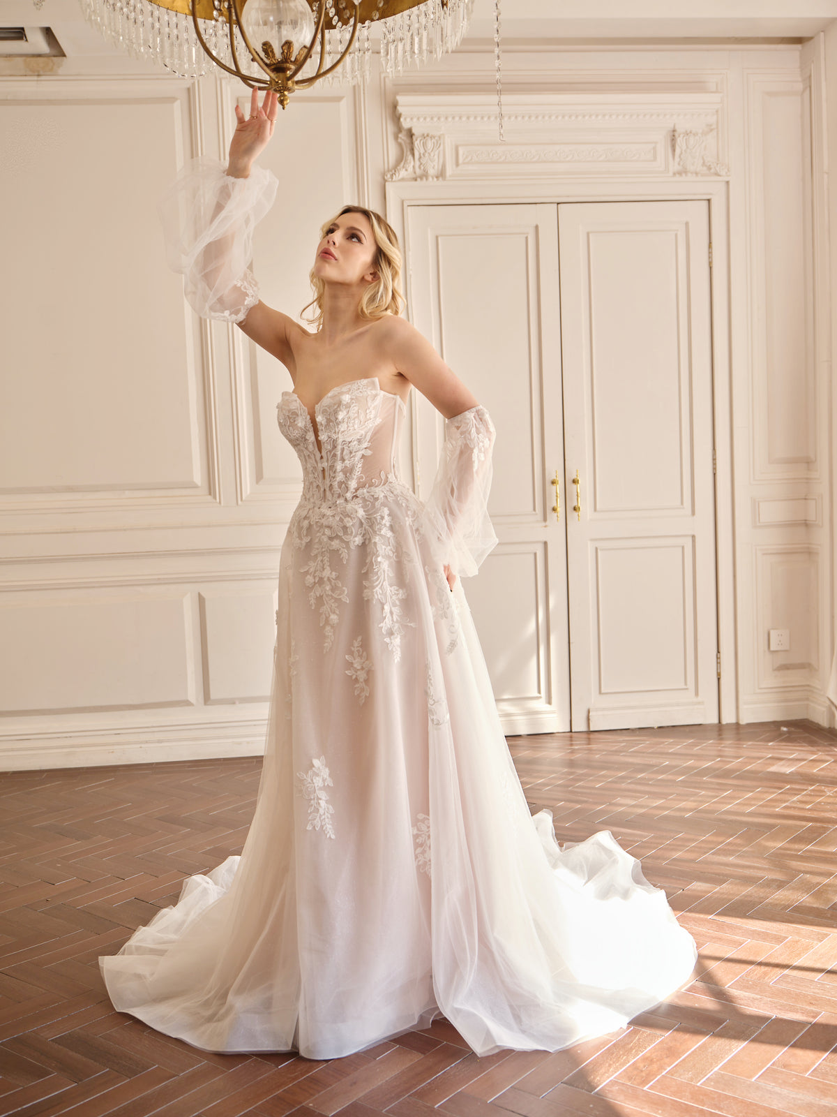 Aurelia|MS0033