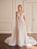 Aurelia|MS0033